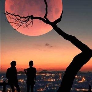 Meet your Posher, Paul